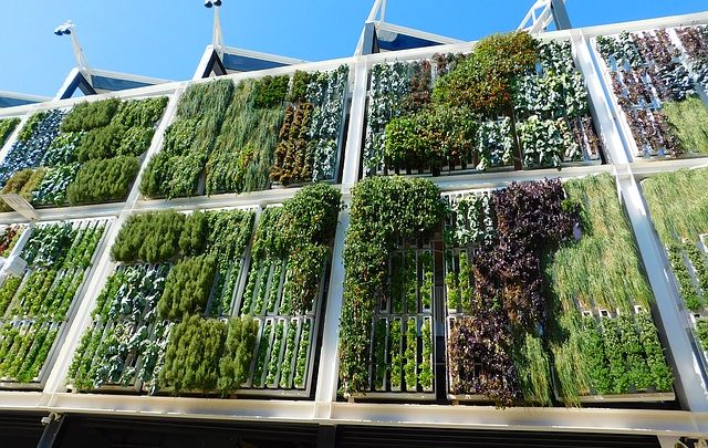 Giardini verticali, la nuova moda che fa bene all’ambiente