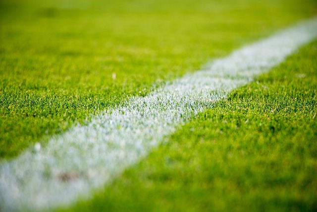 La Guida Definitiva: Come Scegliere l'Erba Giusta per i Campi Sportivi