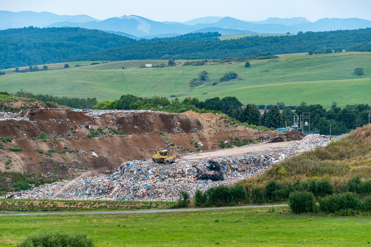 Aziende green la responsabilità ambientale delle imprese